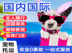 通化空运代理国际宠物托运 【国